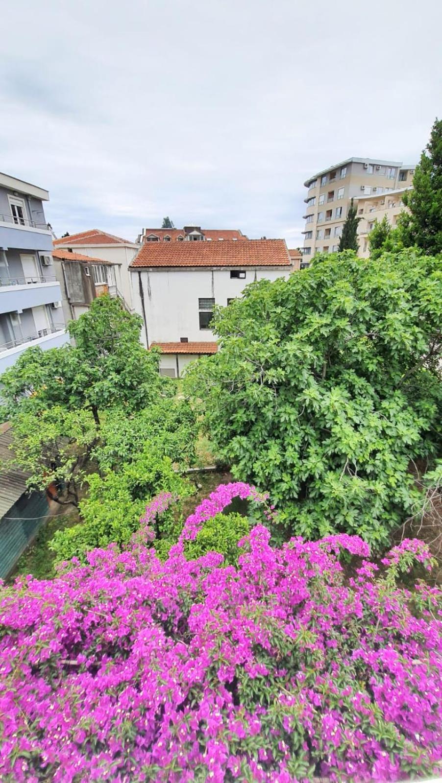 בודווה Vojinovic Apartments חדר תמונה