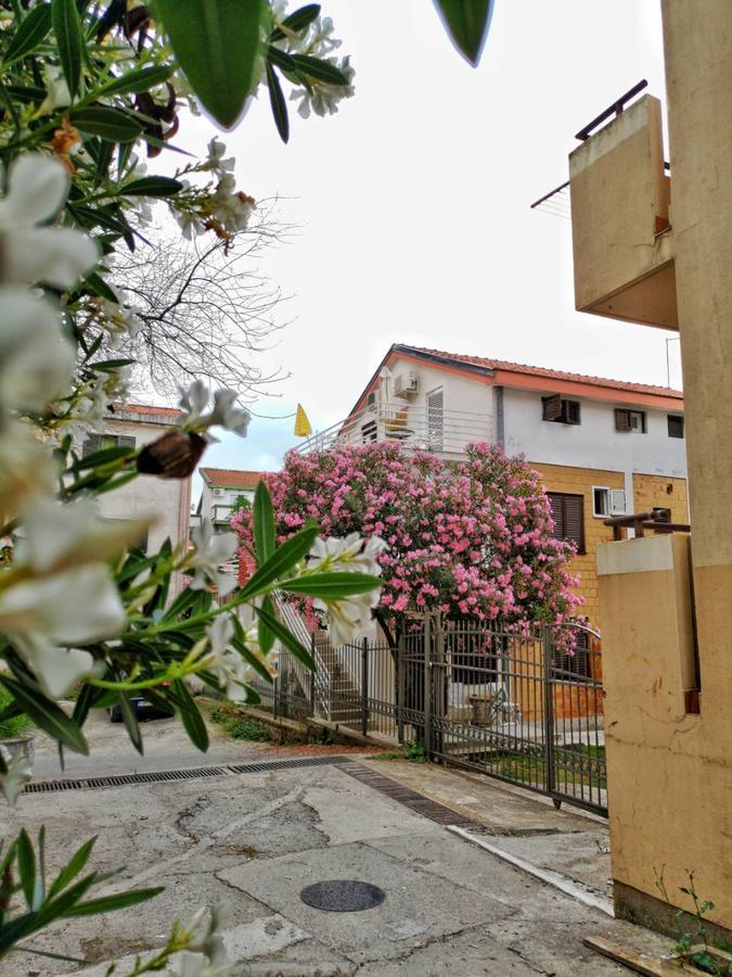 בודווה Vojinovic Apartments מראה חיצוני תמונה